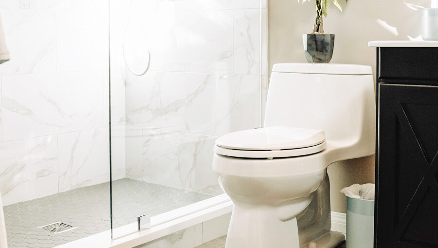 Salient Features of OnePiece Toilet and Its Benefits Flujo Home
