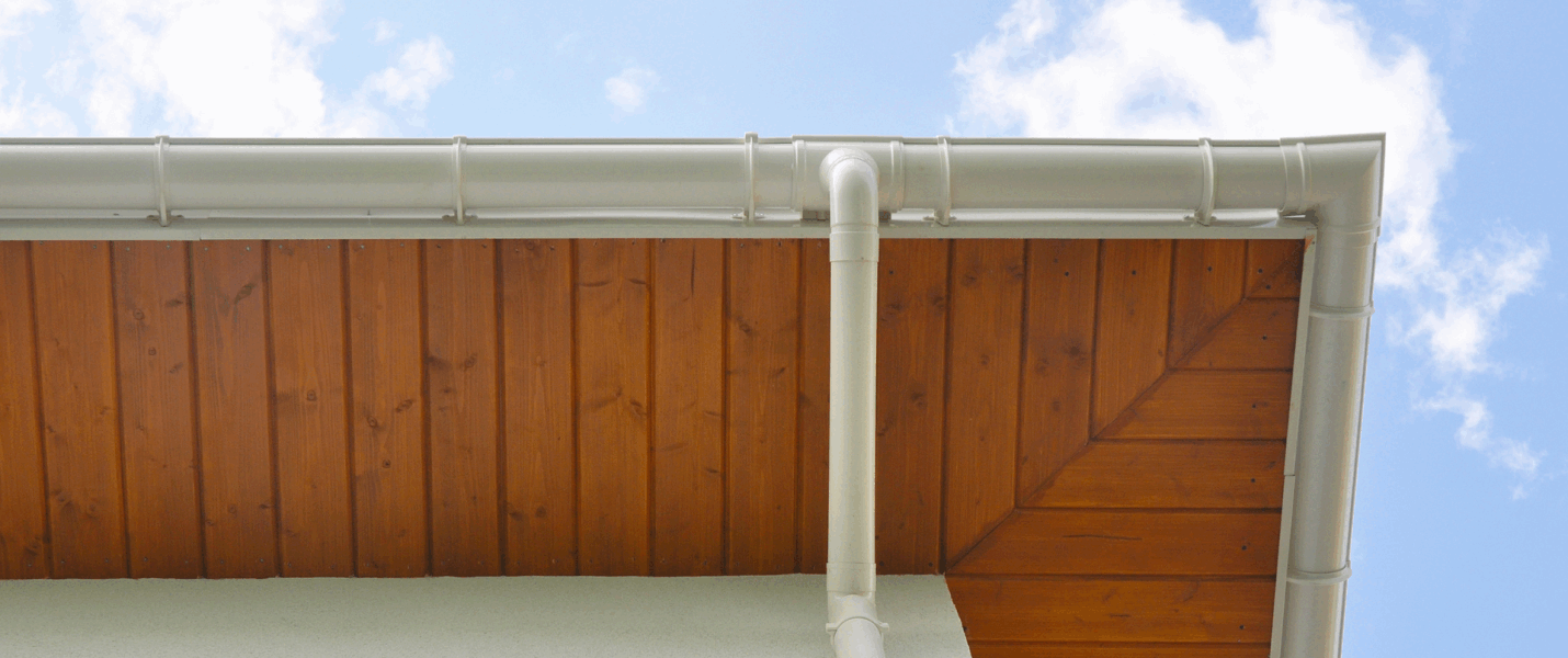 Fascia Board Damage